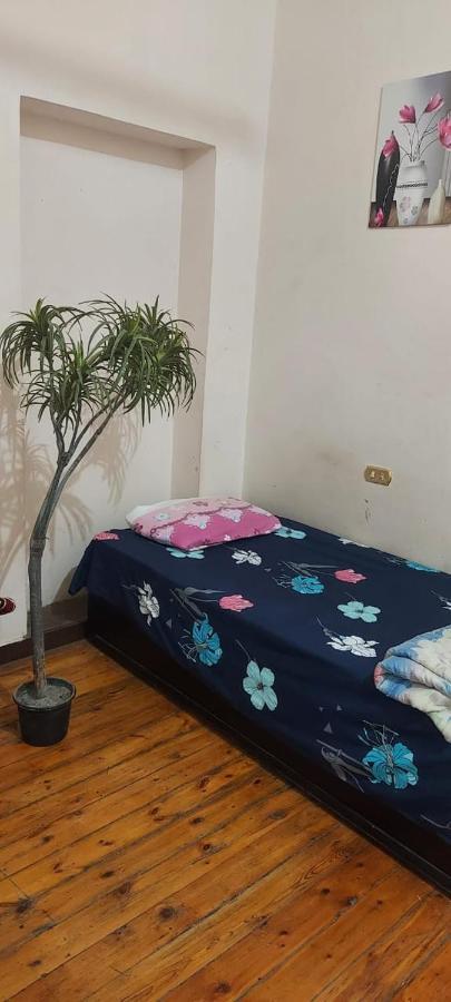New Safari Hostel ไคโร ภายนอก รูปภาพ